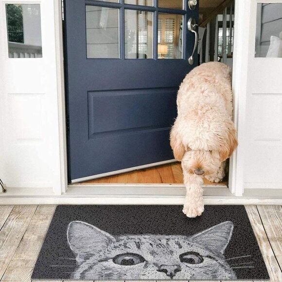 Kitty Cat Front Door Mat Outdoor Home‎ Decor - Picture 5 of 6